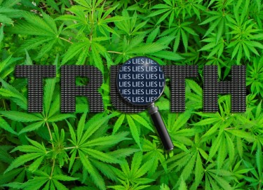 cdc on marijuana legalization